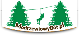 Park Linowy Murzasichle